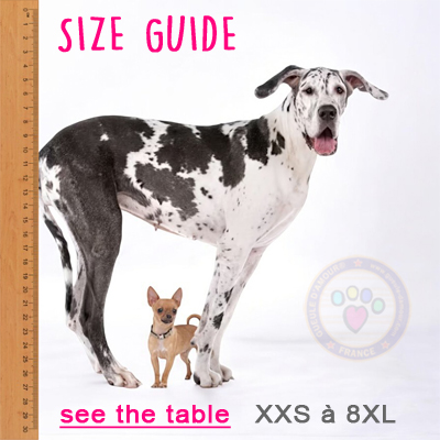 Size guide for dogs and cats